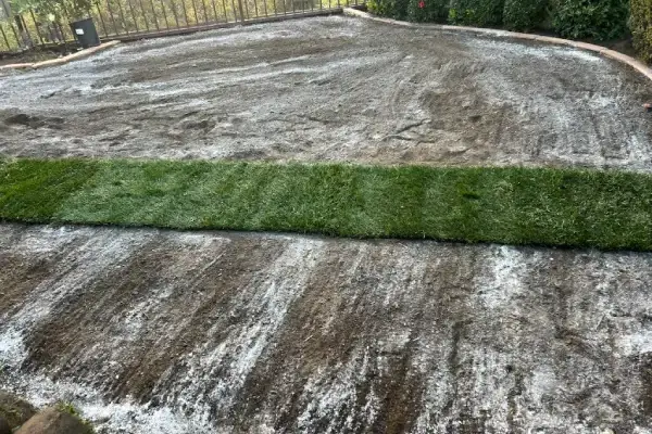 De La Cruz Landscaping's Other Services