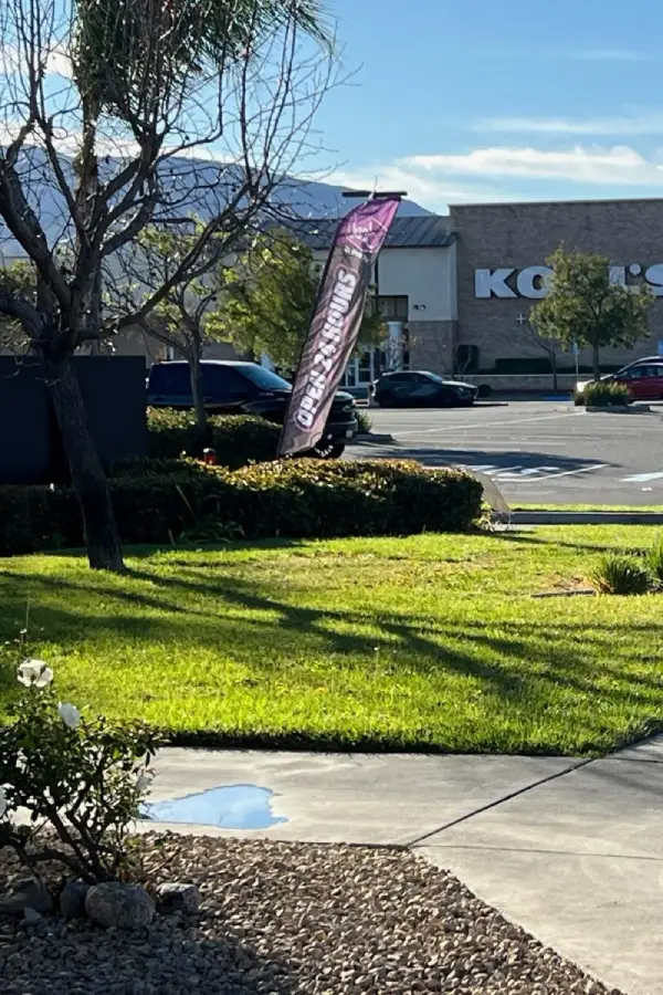 Professional Landscape Services