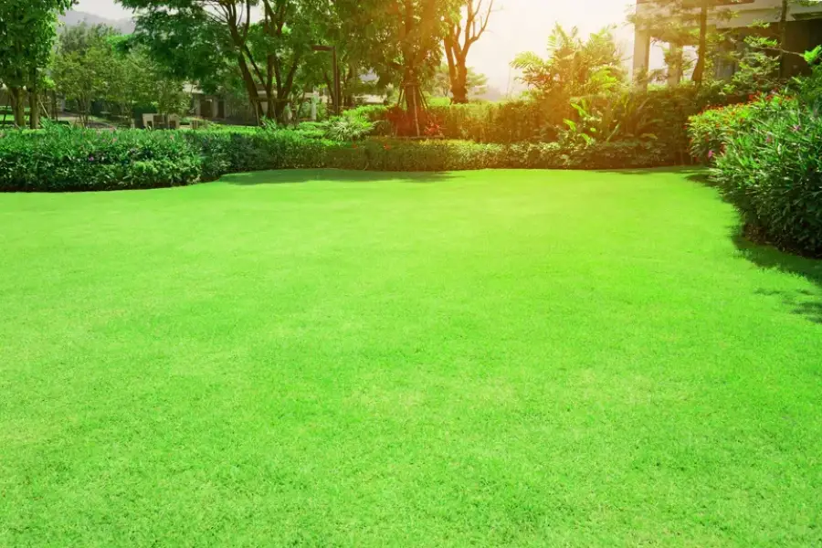 Choosing The Right Maintenance Schedule For Lawns Murrieta, CA Choosing The Right Maintenance Schedule For Lawns Murrieta, CA