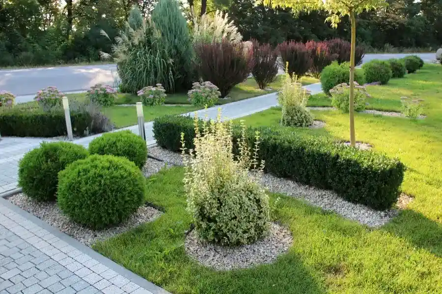 How Landscape Maintenance Improves Property Value in Murrieta, CA