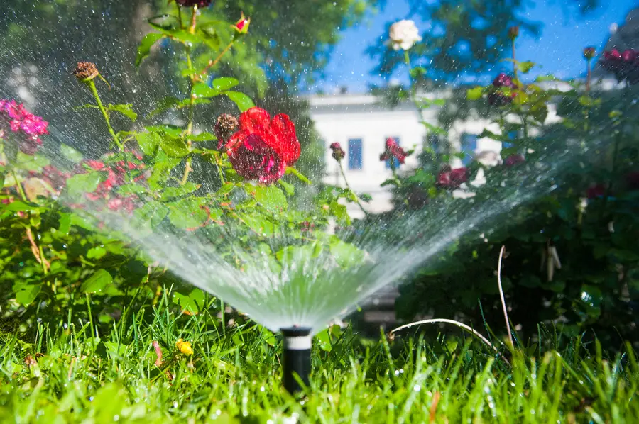 How Sprinkler Installation Improves Watering Efficiency Murrieta, CA