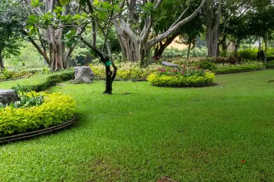 Quality Landscape Maintenance Murrieta, CA