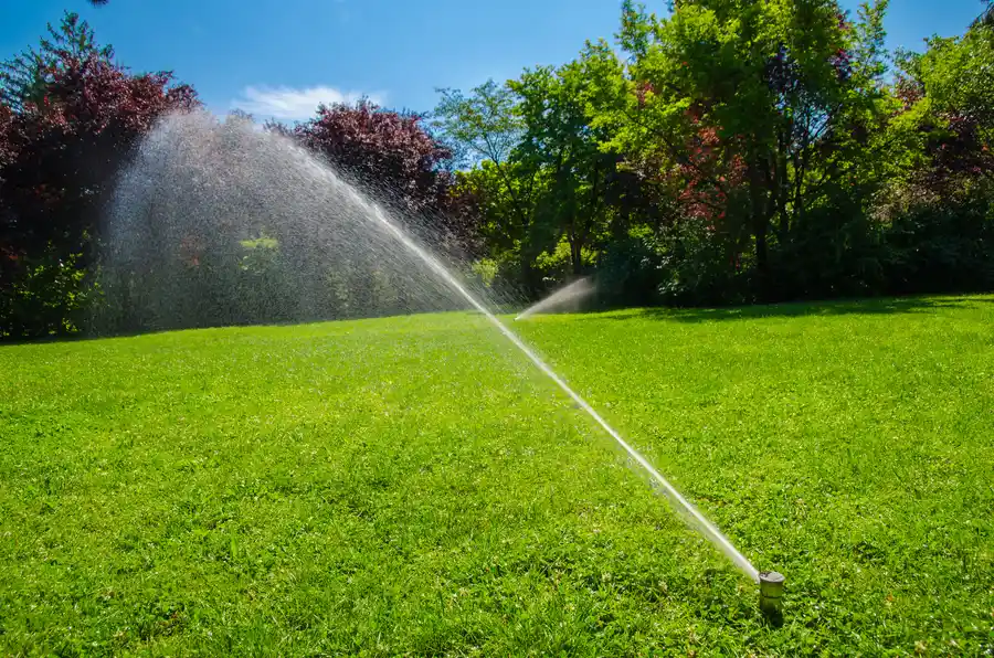The Environmental Impact Of Proper Irrigation System Installation in Murrieta, CA The Environmental Impact Of Proper Irrigation System Installation in Murrieta, CA