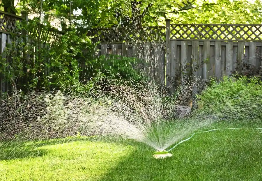 The Importance Of Timely Irrigation System Repair For Lawns Murrieta, CA The Importance Of Timely Irrigation System Repair For Lawns Murrieta, CA