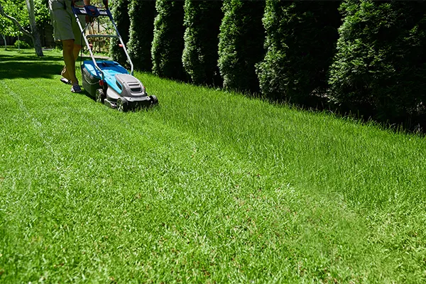 Landscape Maintenance
