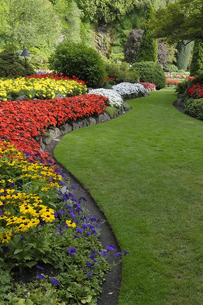 Professional Landscape Services