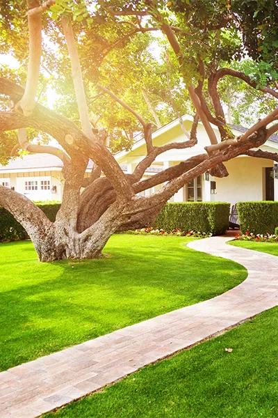 Reliable Landscape Services